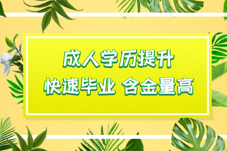 ?？拼髮W有哪些