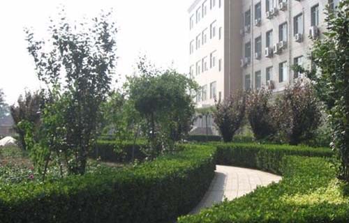 1603768406137774.jpg u=2861119036,2383096514&fm=26&gp=0.jpg