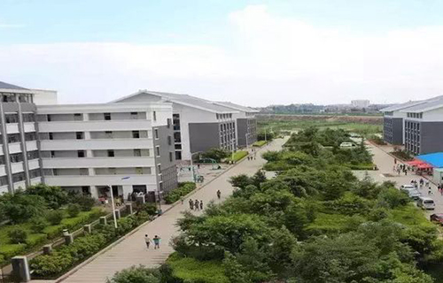1604374903126169.jpg ti4654646mg.jpg