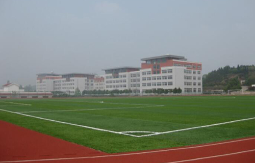 1608618682921783.jpg 1.jpg