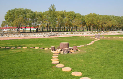 1625800862246852.jpg 32.jpg