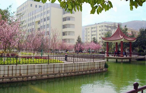云南科技信息職業(yè)學(xué)院2021年招生條件 云南科技信息職業(yè)學(xué)院2021年招生條件