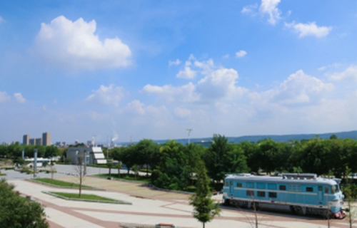 1631090604632165.jpg 43a63cc7-2c1e-44fa-8da4-bfbe5f5a7588_s.jpg