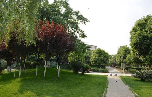 1632553205547981.jpg u=1267052215,3453862354&fm=26&gp=0.jpg