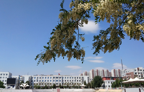1633932752237280.jpg 38bae180-63a2-4f16-9b97-d318939d8c61.jpg