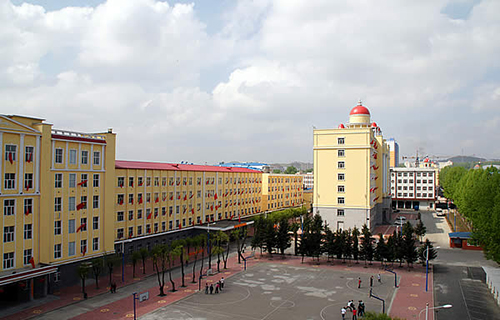 1642064577124417.jpg 323.jpg