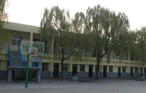 1645509135377431.jpg 1.jpg