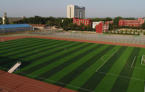 1647057601543276.jpg 5 (1).jpg