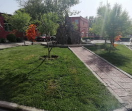 1649314759322609.png 1649314759322609.png