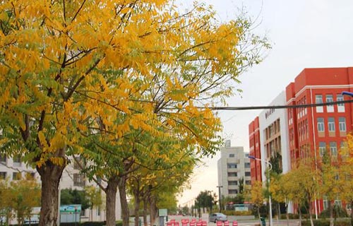 1650436607118961.jpg QQ截圖20220420143116.jpg