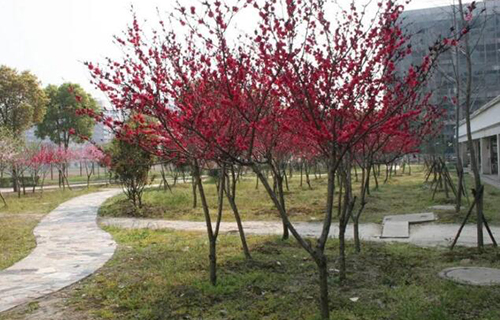 1653459873174149.jpg QQ截圖20210703171906.jpg
