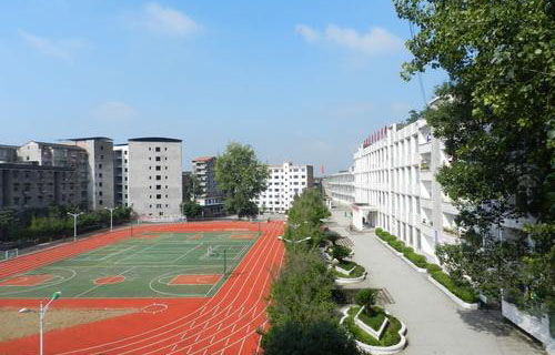 1653467266478427.jpg downlsdfdsgrhrjoad (2).jpg